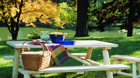 Pic Nic